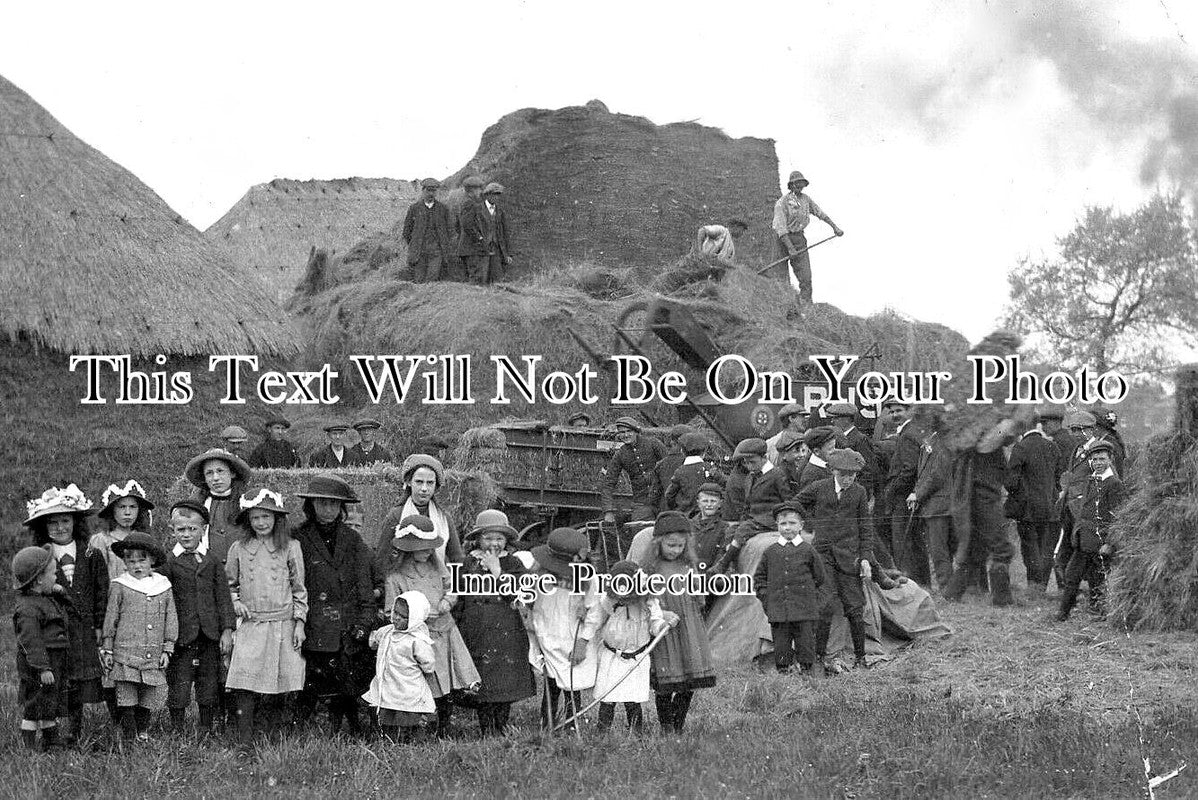 OX 1703 - Standlake Witney Farming Scene, Oxfordshire c1915