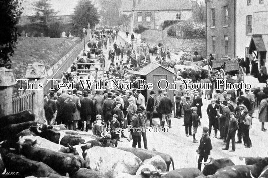 OX 428 - Cattle Market, Faringdon, Oxfordshire c1909