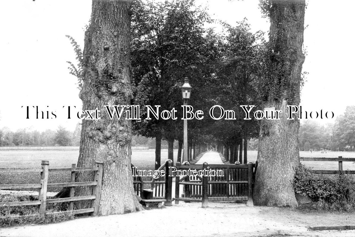 OX 541 - The Leys Walk, Witney, Oxfordshire c1915