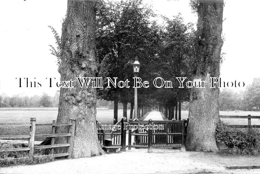 OX 541 - The Leys Walk, Witney, Oxfordshire c1915