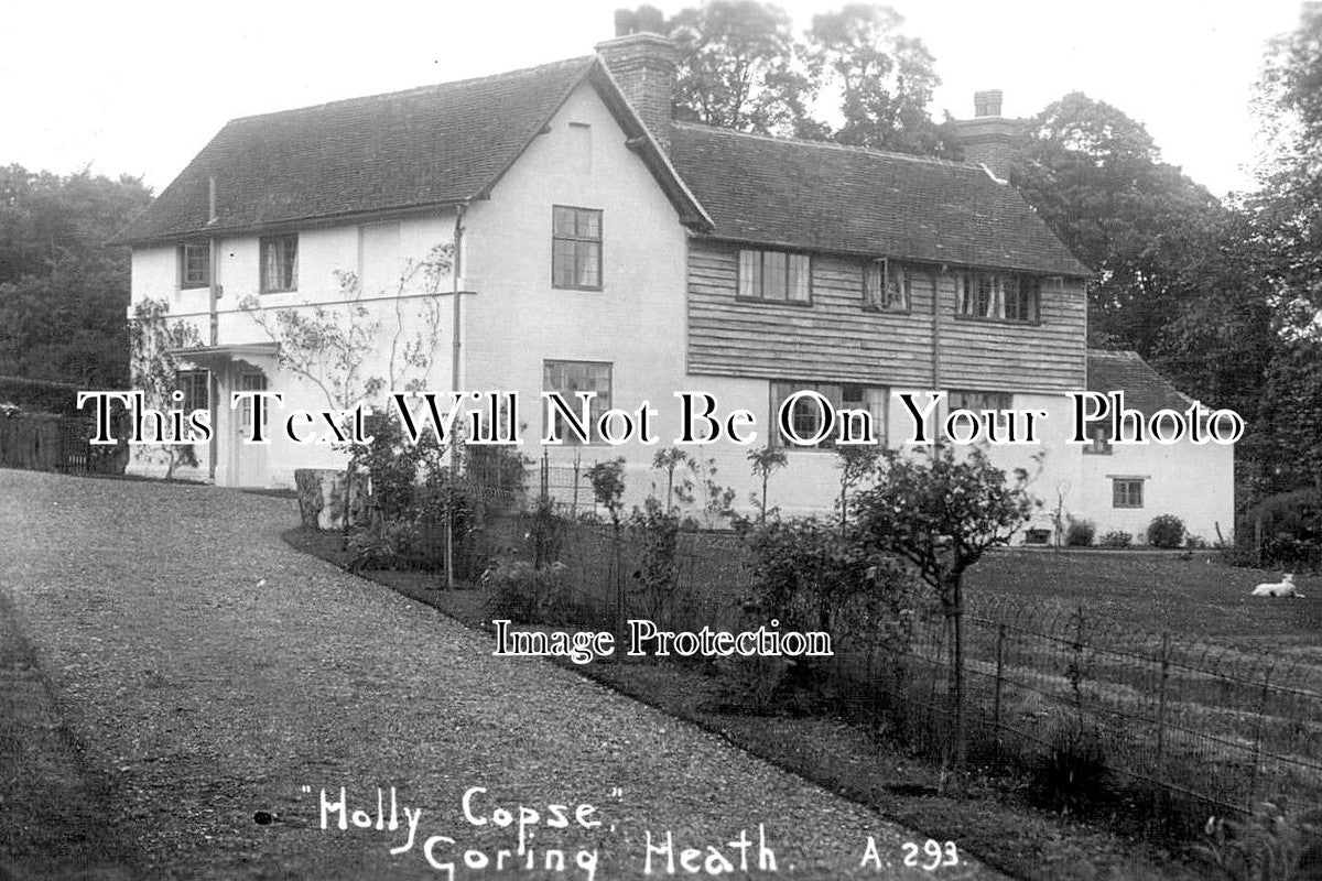 OX 584 - Holly Copse, Goring Heath, Oxfordshire