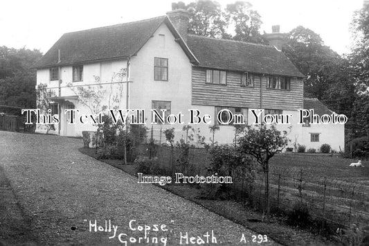 OX 584 - Holly Copse, Goring Heath, Oxfordshire