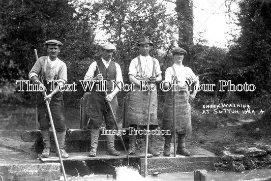 OX 877 - Sheep Washing, Sutton Oxfordshire c1924