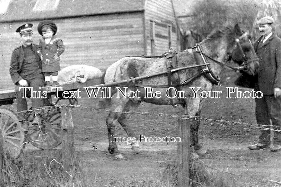 SC 1081 - Horse & Cart, Rutherglen, Scotland c1909