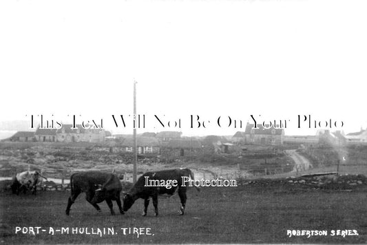 SC 1169 - Port A Mhullain Tiree, Scotland c1910