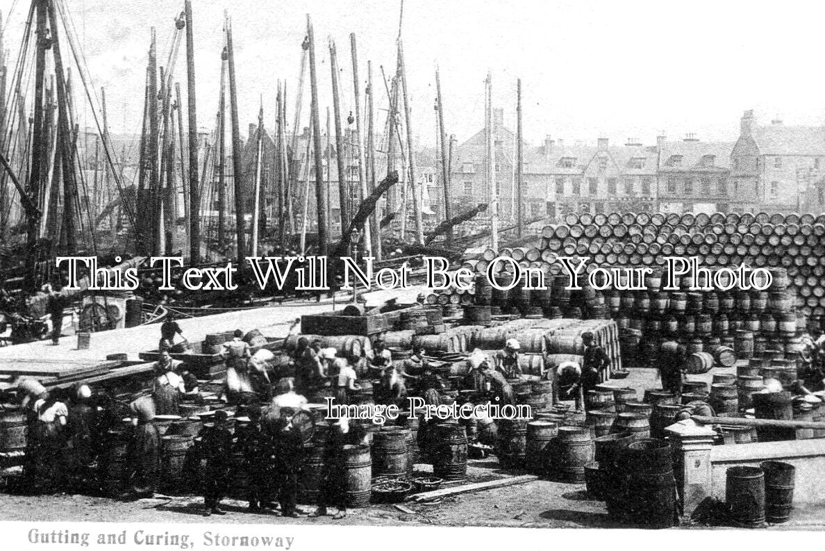 SC 1381 - Gutting & Curing Herring, Stornoway, Lewis, Scotland c1906