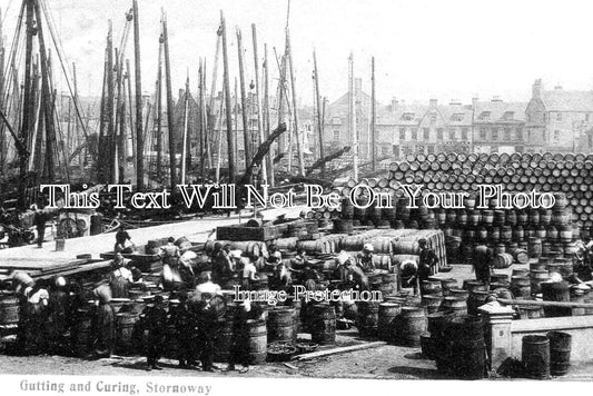 SC 1381 - Gutting & Curing Herring, Stornoway, Lewis, Scotland c1906