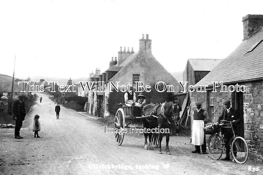 SC 1471 - Ettrickbridge Looking West, Selkirkshire, Scotland