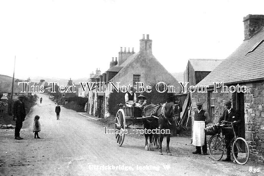 SC 1471 - Ettrickbridge Looking West, Selkirkshire, Scotland