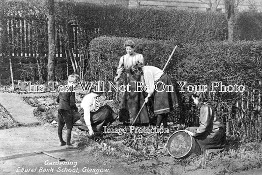 SC 1572 - Gardening At Laurel Bank School, Glasgow, Scotland