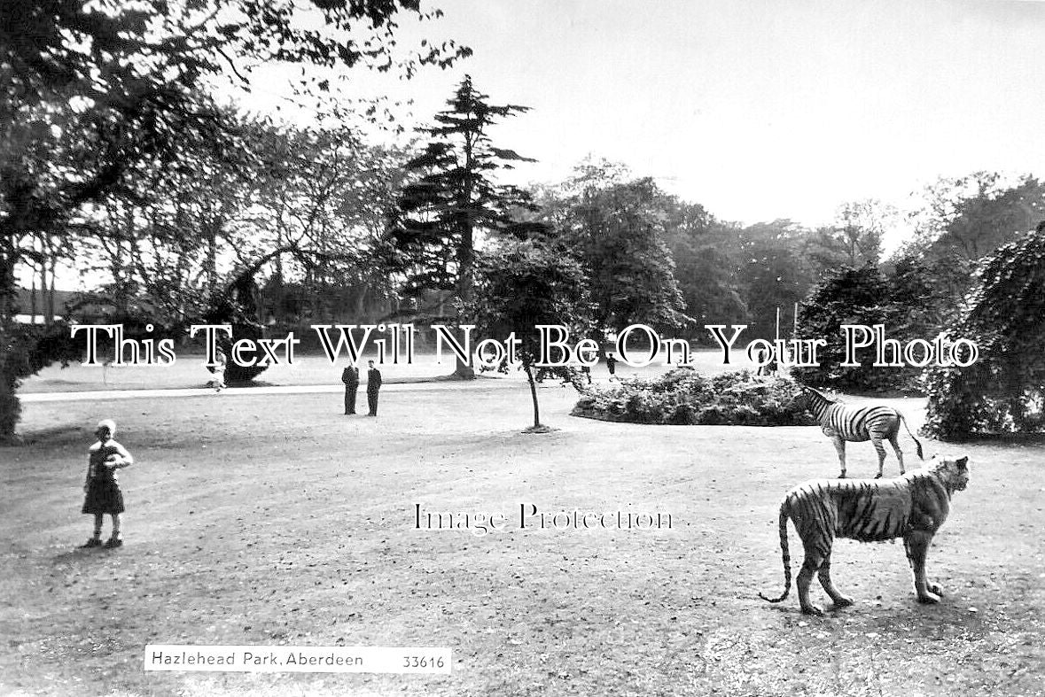 SC 1610 - Hazlehead Park, Aberdeen, Scotland c1906