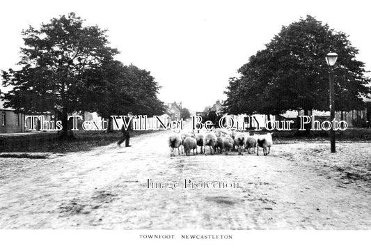 SC 1736 - Townfoot, Newcastleton, Scotland