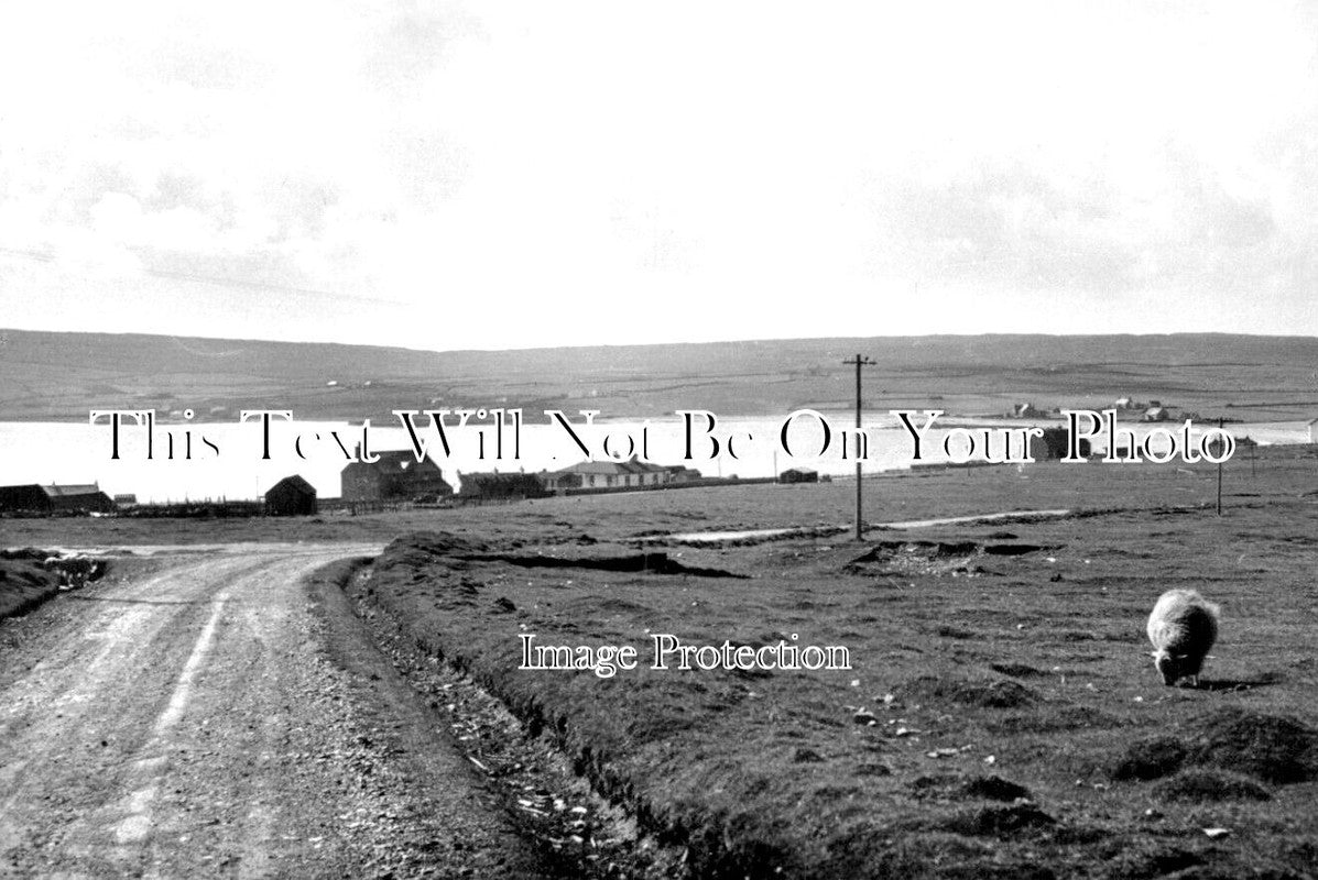 SC 1782 - Unst, Shetland Isles, Scotland