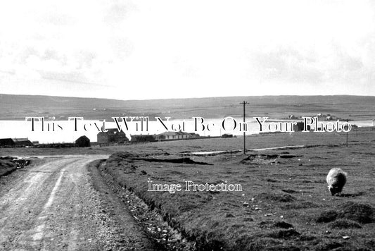 SC 1782 - Unst, Shetland Isles, Scotland