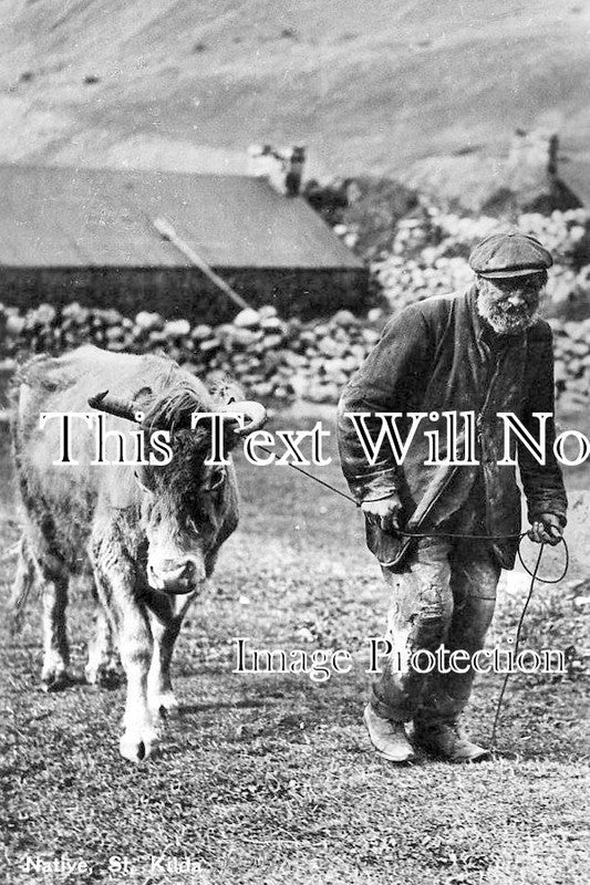 SC 1826 - Native At St Kilda, Scotland c1930