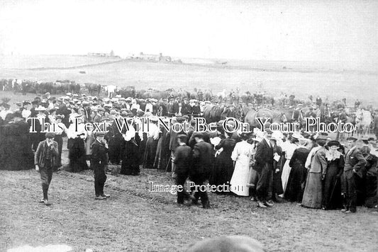 SC 1902 - Cattle Show, Orkney, Scotland c1905