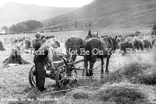 SC 1994 - At Work In The Highlands, Cutting Hay Farming Scotland c1911