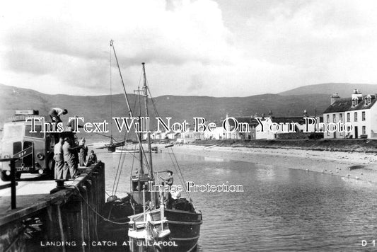 SC 2126 - Landing A Catch At Ullapool, Scotland