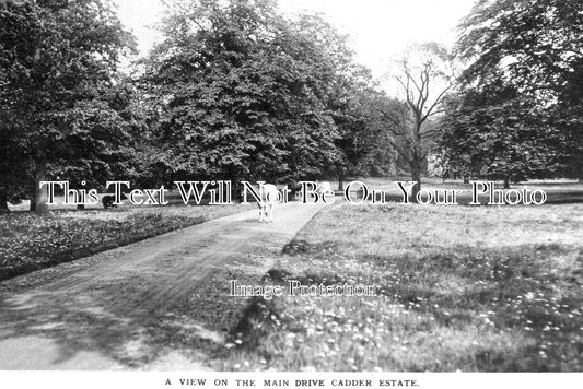 SC 2149 - The Main Drive, Cadder Estate, Bishopbriggs, Scotland