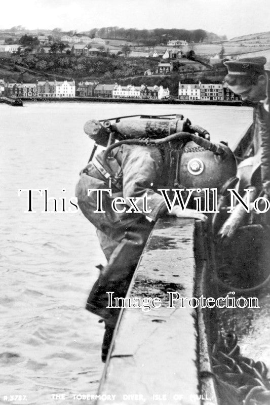 SC 2316 - The Tobermory Diver, Isle Of Mull, Scotland