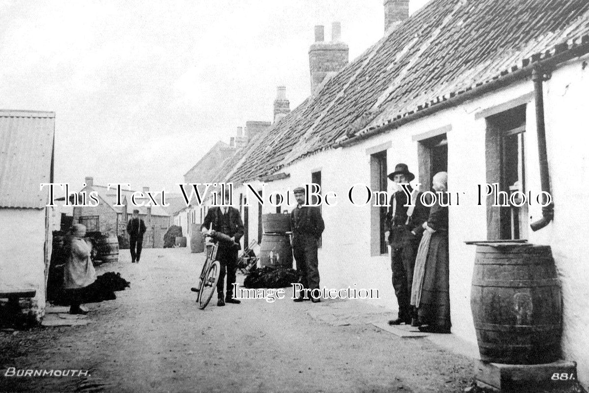 SC 2391 - Burnmouth, Scotland c1910