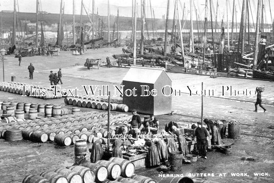 SC 2460 - Herring Gutters At Work, Wick, Scotland