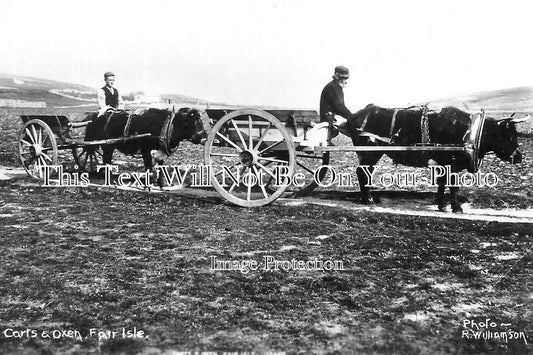 SC 2508 - Carts & Oxen, Fairisle, Scotland