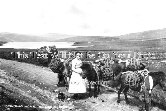 SC 2541 - Peat Carrier's. Unst, Shetland, Scotland