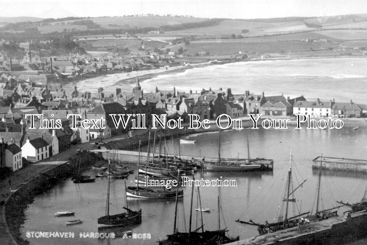 SC 2568 - Stonehaven Harbour, Scotland