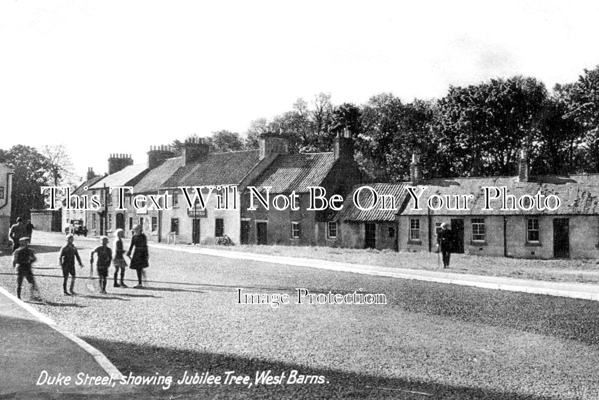 SC 2681 - Duke Street Showing Jubilee Tree, West Barns, Scotland