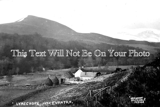 SC 269 - Lynechork Near Evanton, Inverness, Scotland c1915