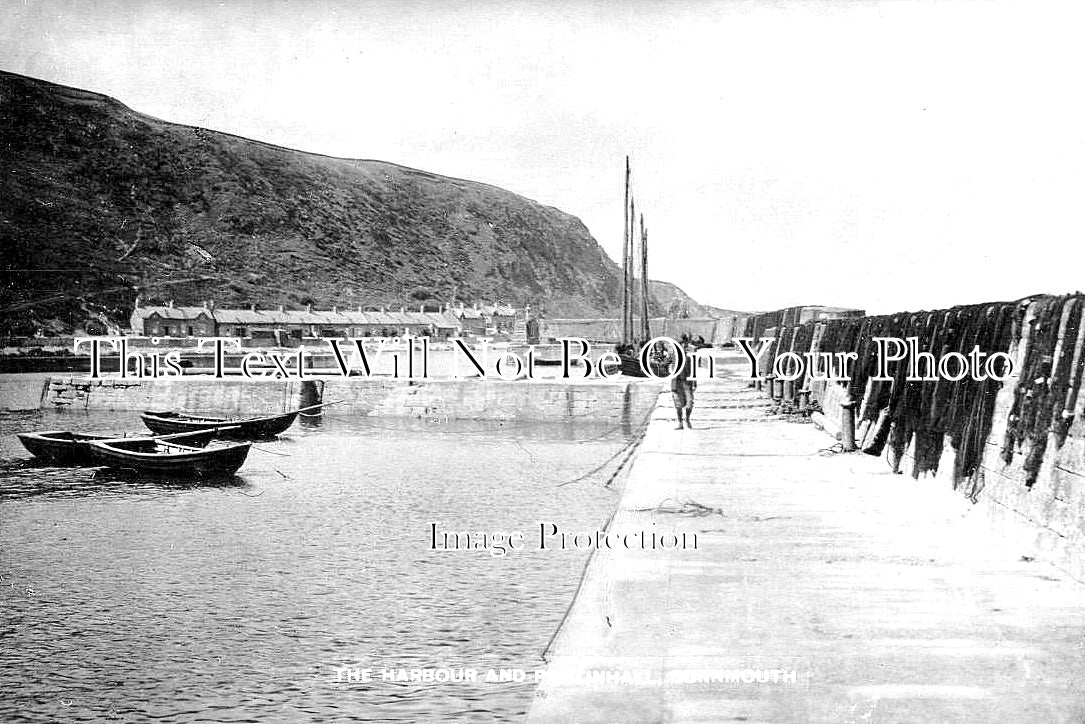 SC 2705 - The Harbour & Partinhall, Burnmouth, Scotland