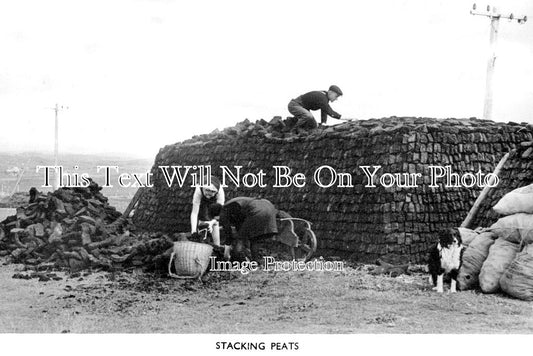 SC 2834 - Stacking Peats, Shetland, Scotland