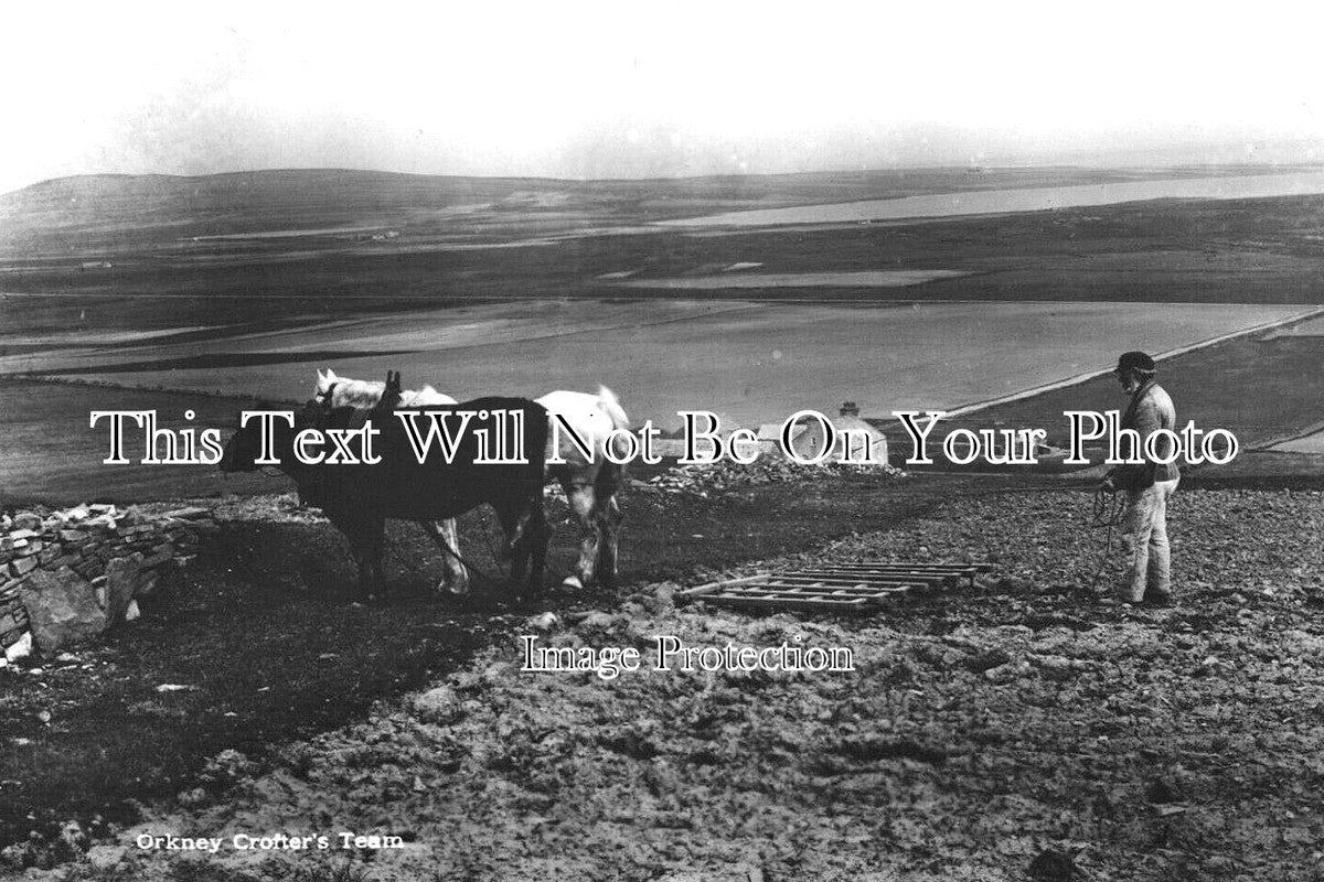 SC 2889 - Orkney Crofter's Team, Scotland