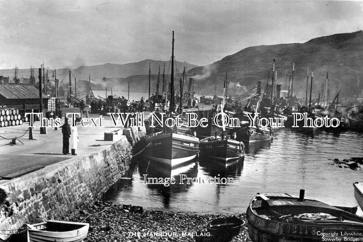 SC 2903 - The Harbour, Mallaig, Scotland