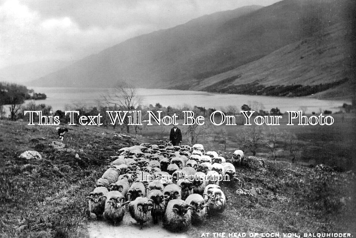 SC 2909 - At The Head Of Loch Voil, Balquhidder, Scotland