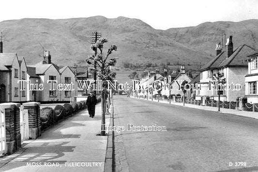 SC 325 - Moss Road, Tillicoultry, Clackmannan, Scotland c1950