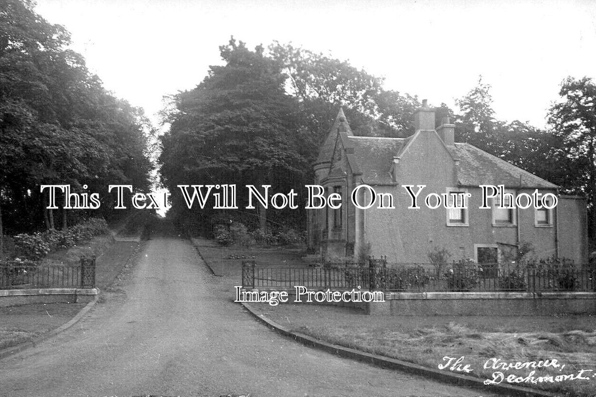 SC 3262 - The Avenue, Dechmont, Scotland c1920