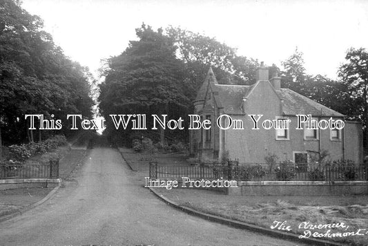 SC 3262 - The Avenue, Dechmont, Scotland c1920