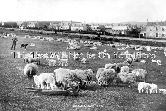 SC 3279 - Arbeadie, Banchory, Scotland