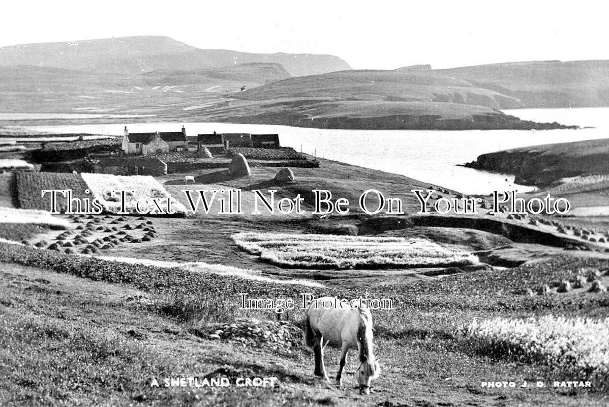 SC 3334 - A Shetland Croft, Scotland