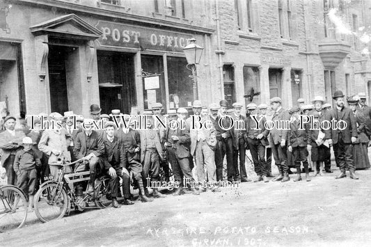 SC 3345 - Ayrshire Potato Dealers At Girvan Post Office, Scotland 1907