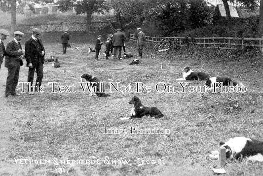 SC 3346 - Yetholm Shepherds Show Dogs, Roxburghshire, Scotland 1911