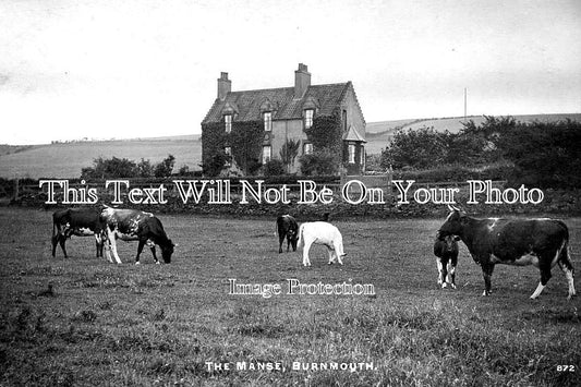 SC 3350 - The Manse, Burnmouth, Scotland