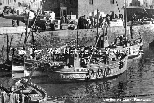 SC 3467 - Landing The Catch, Pittenweem Harbour, Fife, Scotland