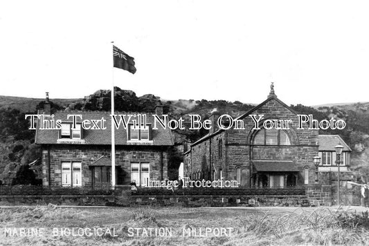 SC 3625 - Marine Biological Station, Millport, Scotland