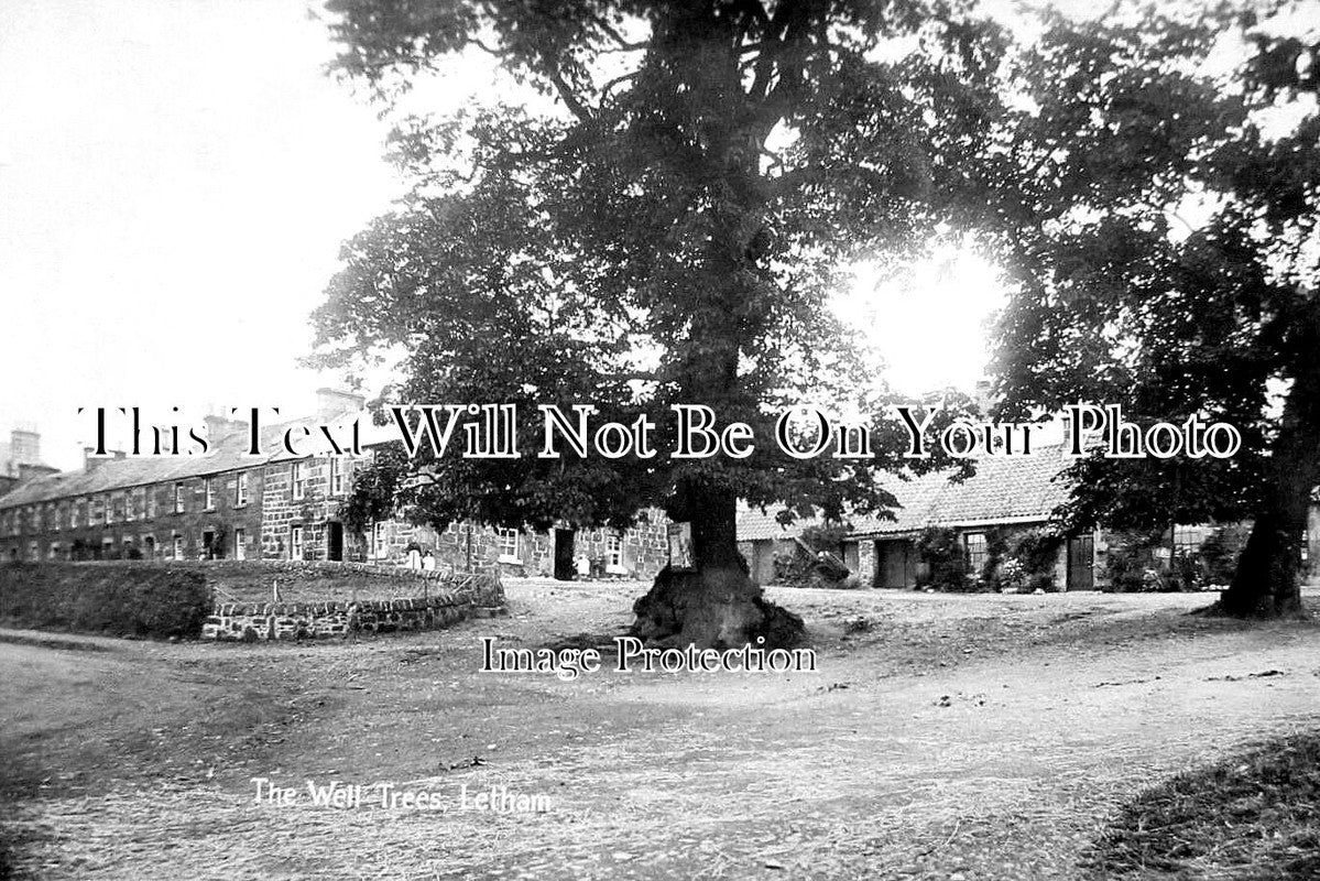 SC 4166 - The Well Trees, Letham, Fife, Scotland c1912