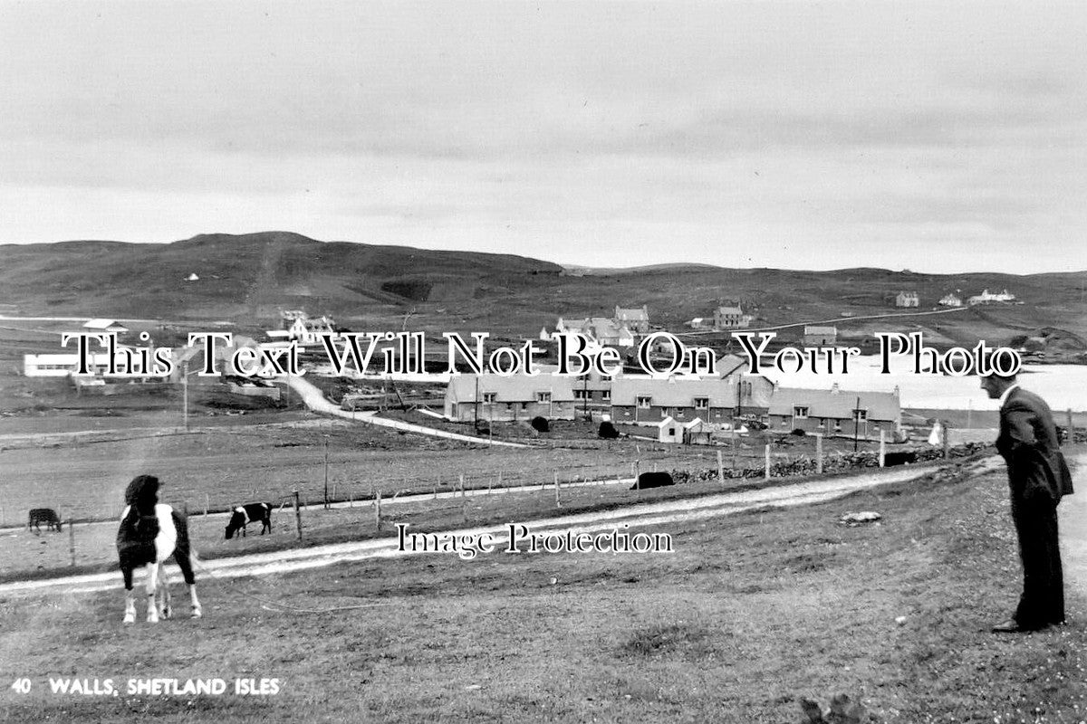 SC 4376 - Walls, Shetland Isles, Scotland