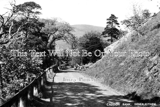 SC 495 - Caddon Bank, Innerleithen, Peeblesshire, Scotland c1950