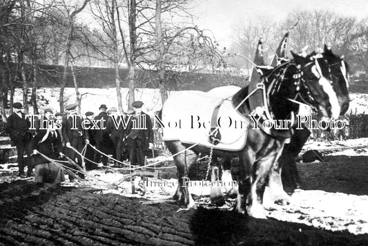 SC 687 - Cairnie Lady Ploughing Champion At Cults, Scotland c1912